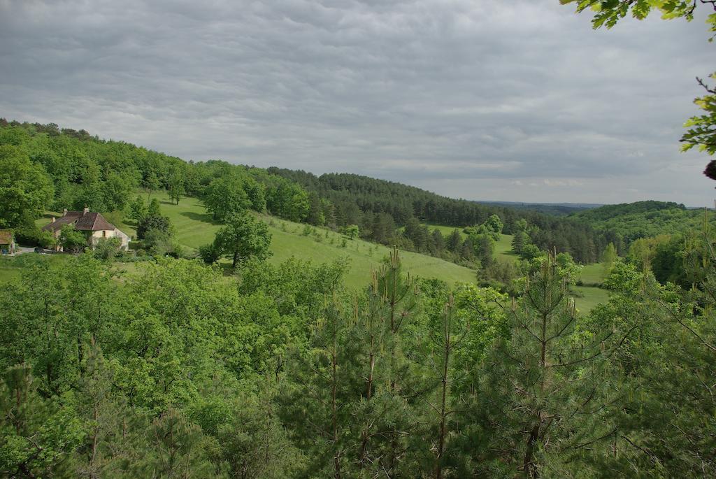 Pechalvet Hotel Fleurac  Ruang foto